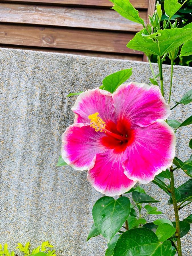 Jifun Flower Meanings Цзянь Екстер'єр фото