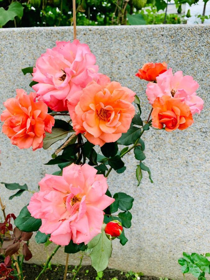 Jifun Flower Meanings Цзянь Екстер'єр фото